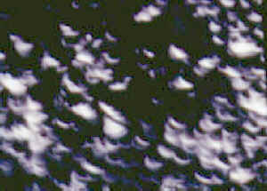 eclipse_70_3.jpg (180775 bytes)