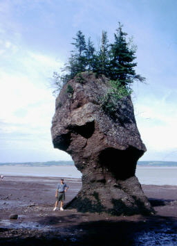Bay of Fundy sea stack, Canada
