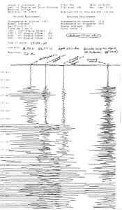 seismogram_lp_01_13_01.jpg (2248205 bytes)