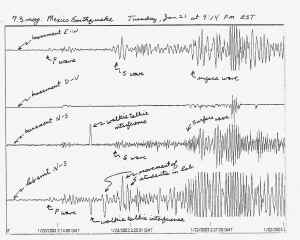 seismogram_lp_01_22_03.jpg (439369 bytes)