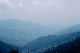 tree hydrocarbon haze in Great Smoky Mts.