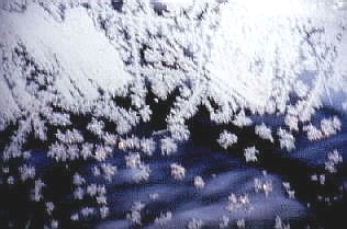 Frost on car window.