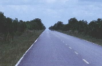 Mirage on highway in Florida Everglades.