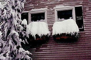 Heavy snowfall on home.