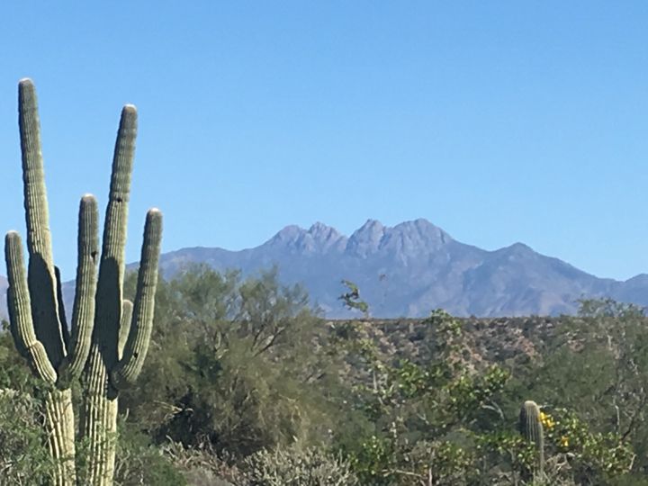 New Year, Same Four Peaks : r/arizona